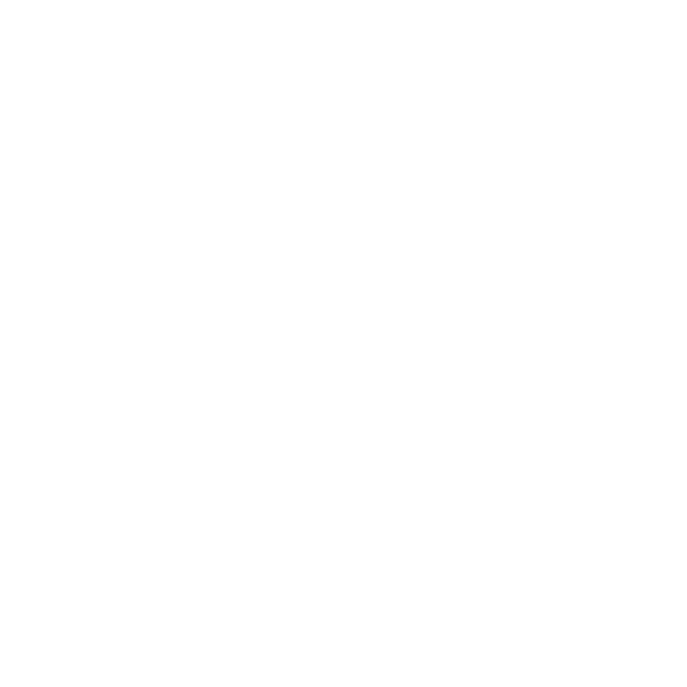 Shayne's Designs - Premium Static Website Design